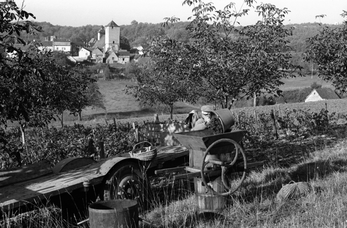 vendanges 1970.jpg